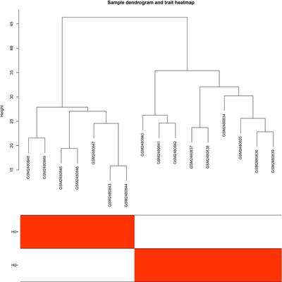 Identification of the Biomarkers and Pathological Process of Heterotopic Ossification: Weighted Gene Co-Expression Network Analysis